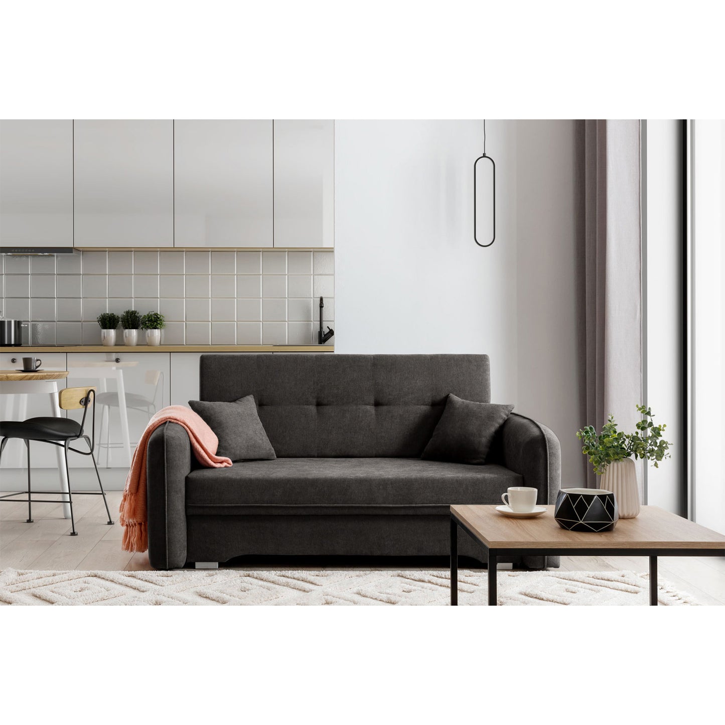 Laine Condo Style 2 Seater Storage Sleeper Sofa - Dark Grey