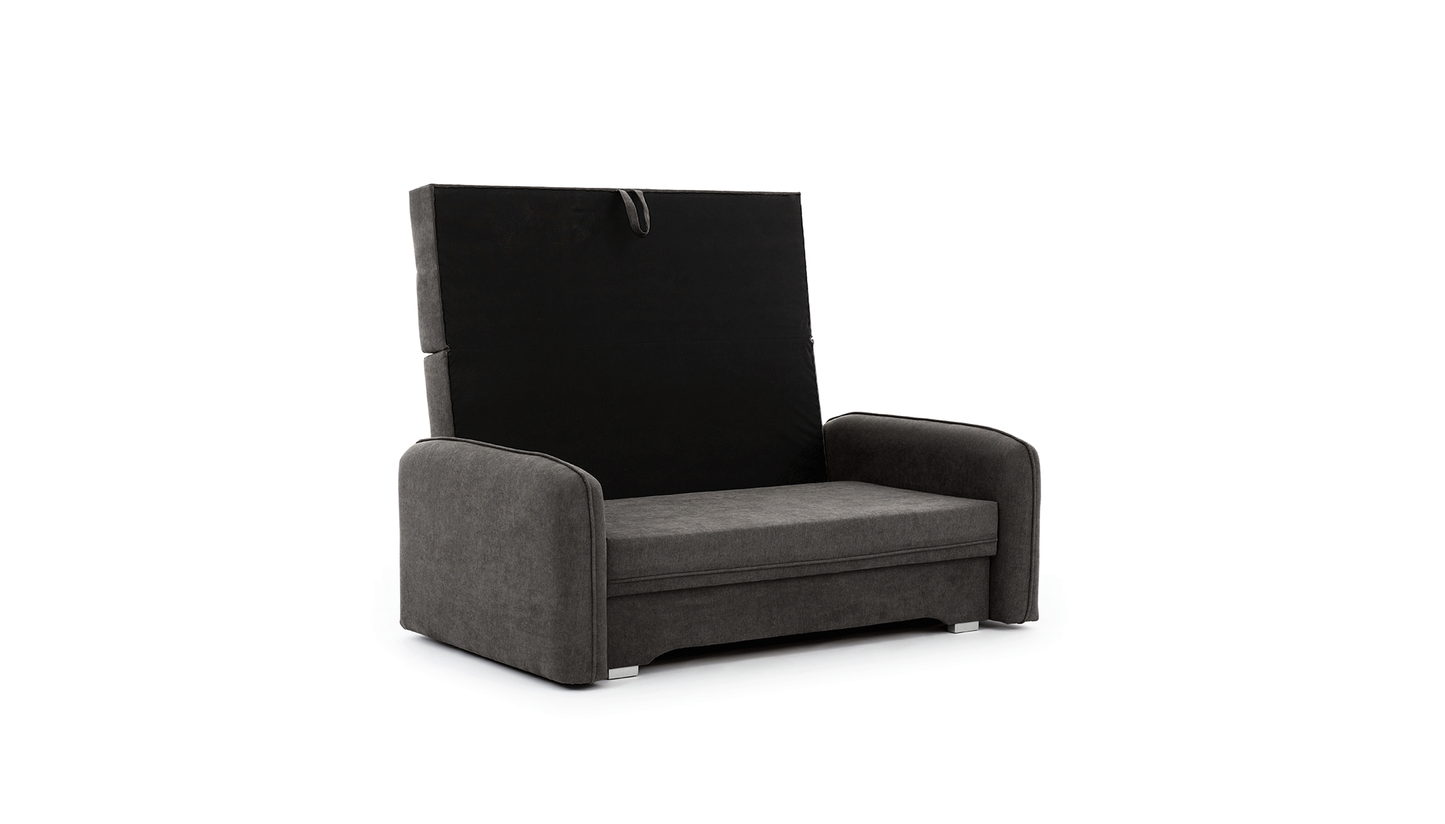 Laine Condo Style 2 Seater Storage Sleeper Sofa - Dark Grey