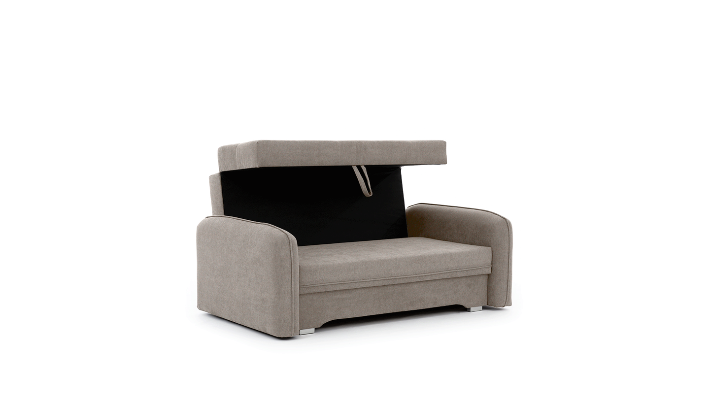Laine Condo Style 2 Seater Storage Sleeper Sofa - Beige