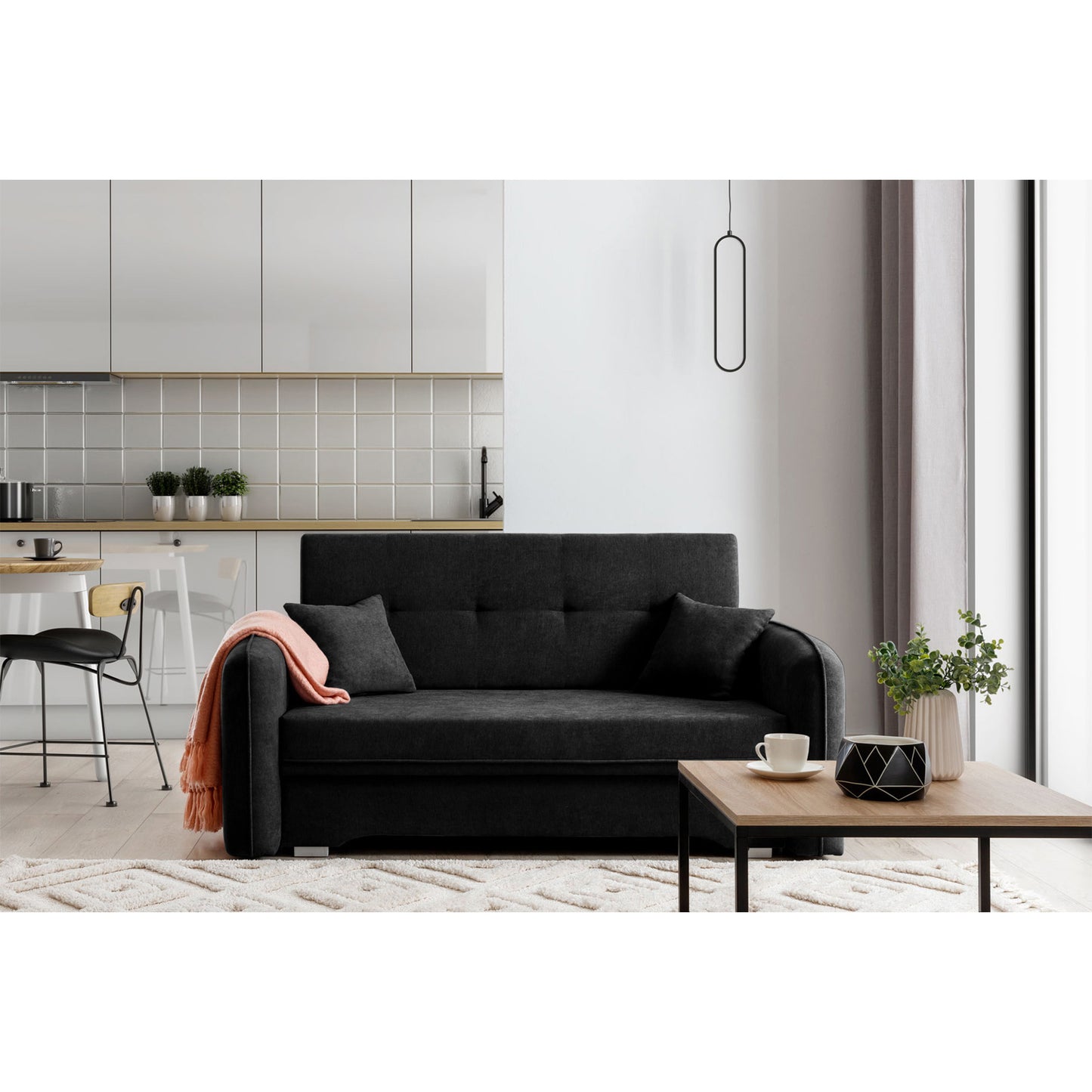 Laine Condo Style 2 Seater Storage Sleeper Sofa - Black