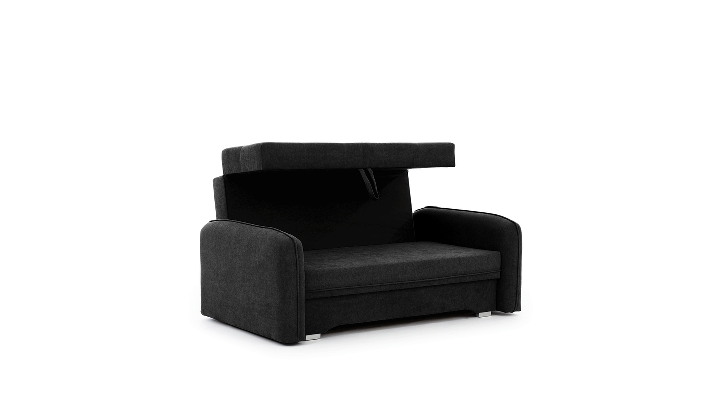 Laine Condo Style 2 Seater Storage Sleeper Sofa - Black