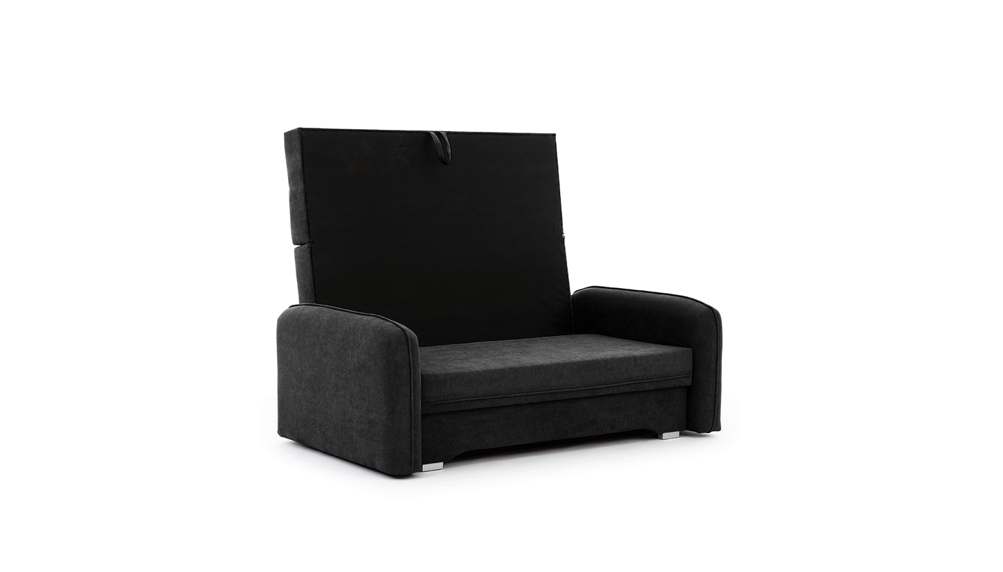 Laine Condo Style 2 Seater Storage Sleeper Sofa - Black