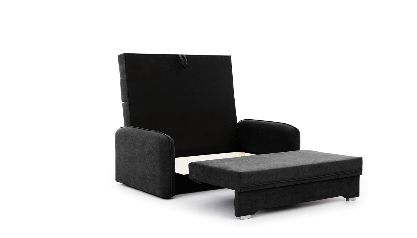 Laine Condo Style 2 Seater Storage Sleeper Sofa - Black