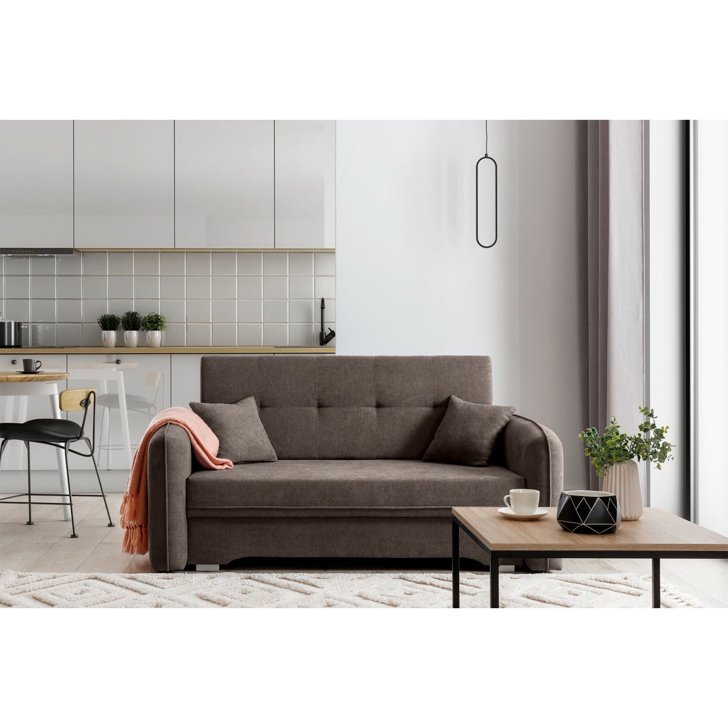 Laine Condo Style 2 Seater Storage Sleeper Sofa - Brown