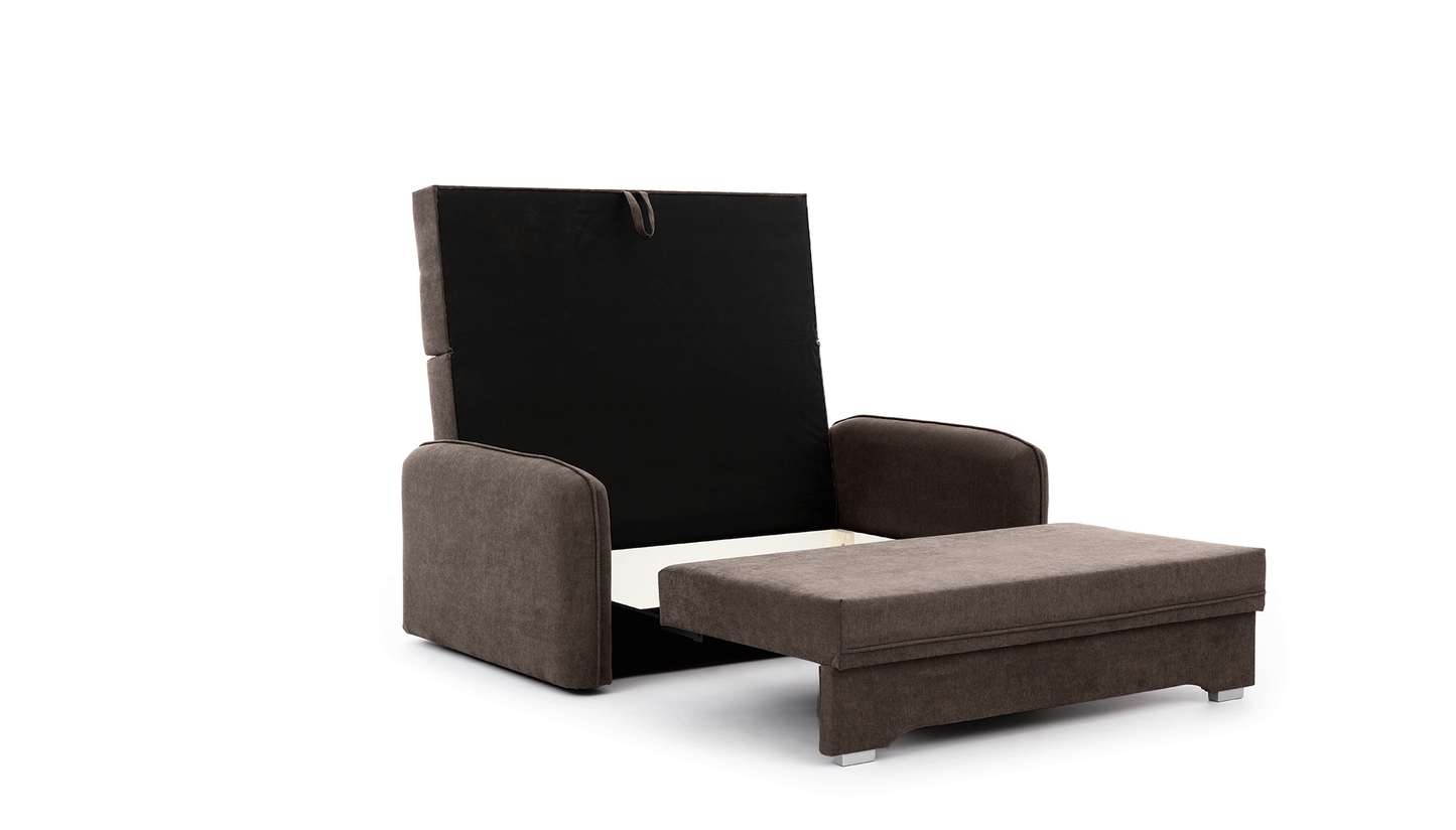 Laine Condo Style 2 Seater Storage Sleeper Sofa - Brown