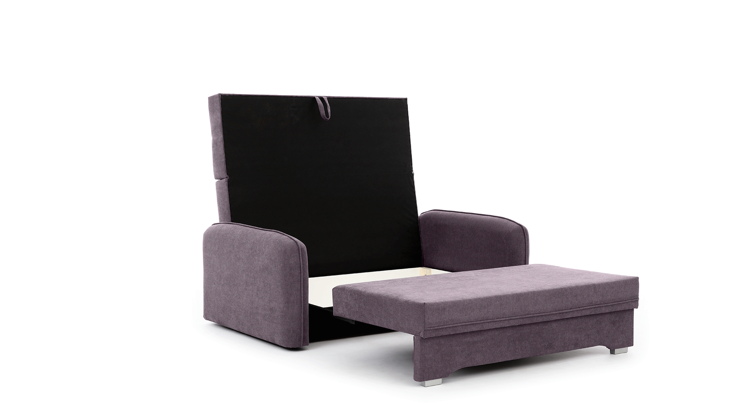 Laine Condo Style 2 Seater Storage Sleeper Sofa - Plum Purple