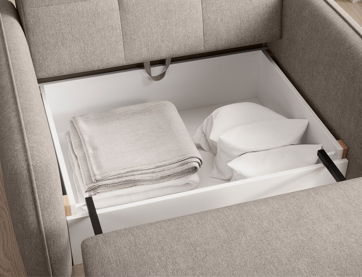 Laine Condo Style 1 Seater Storage Sleeper Sofa - Beige